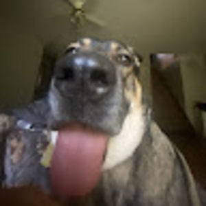 Meet your Posher, Chelsea